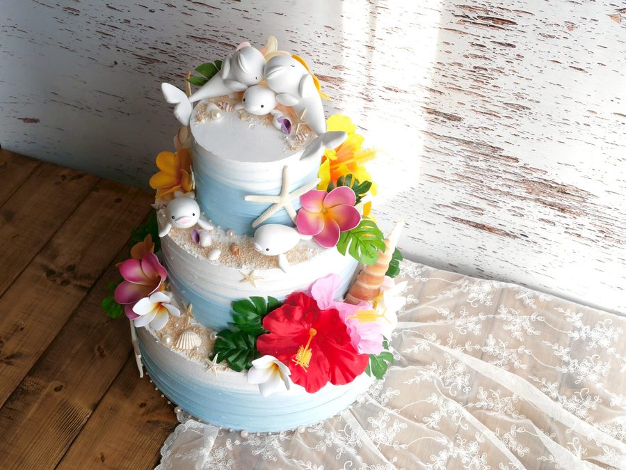 フォト撮影用クレイケーキ